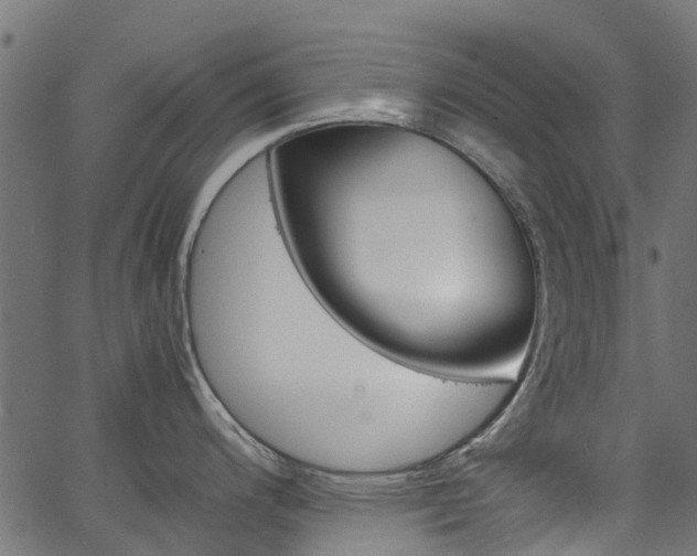 X0000067401200200603311012