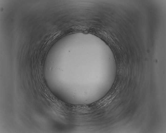 X0000067401201200603311012