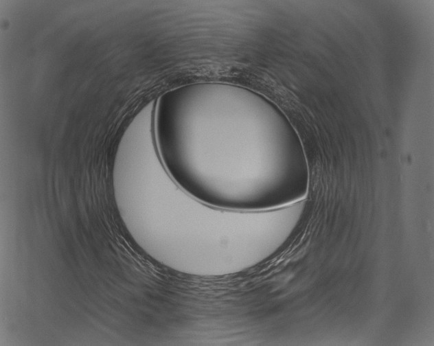 X0000067401202200603311012