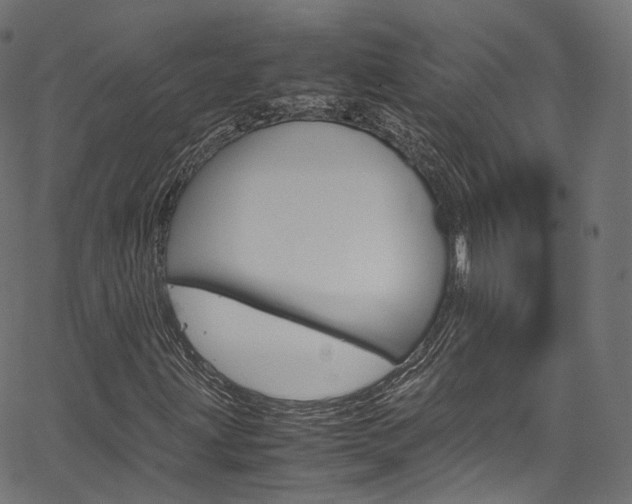 X0000067401203200603311012