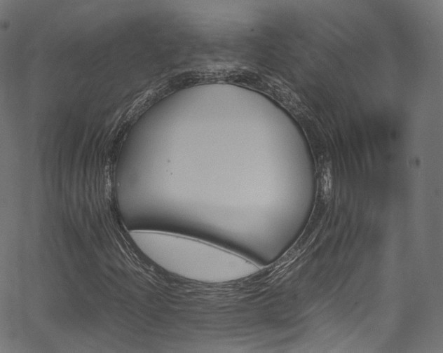 X0000067401204200603311012