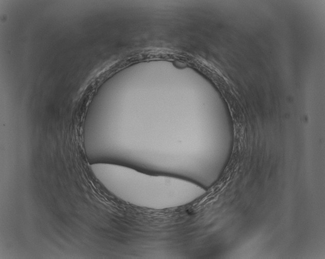 X0000067401207200603311012