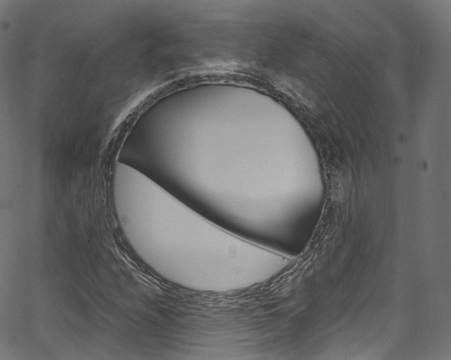 X0000067401208200603311012