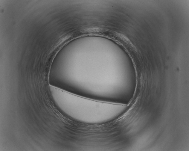 X0000067401209200603311012