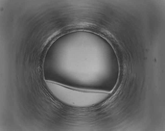 X0000067401210200603311012