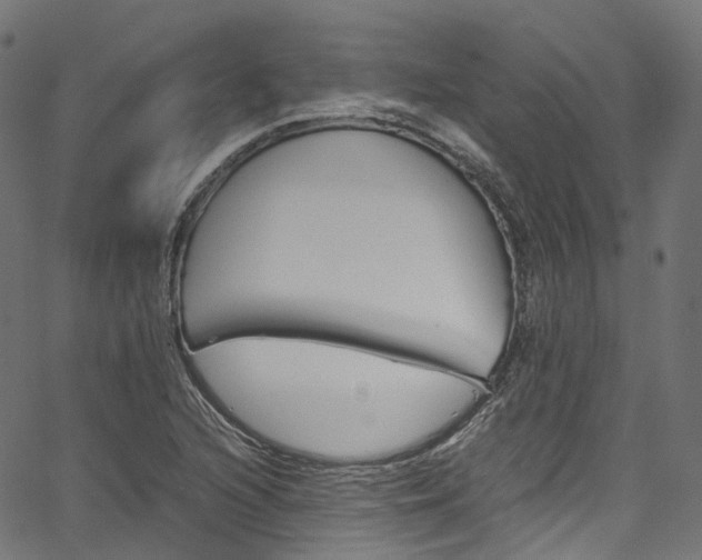 X0000067401216200603311012