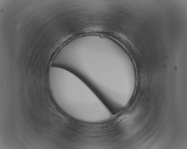 X0000067401217200603311012