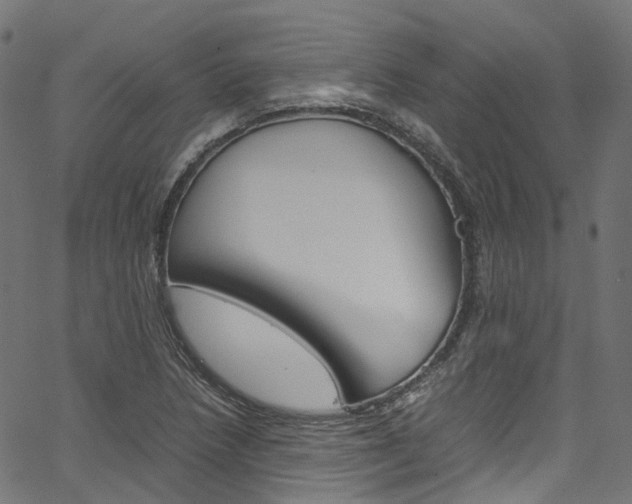 X0000067401218200603311012