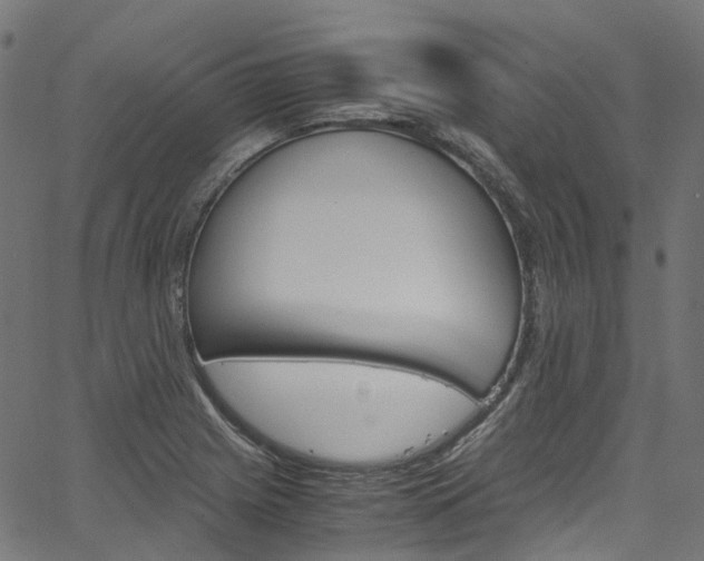 X0000067401225200603311012