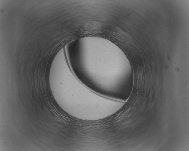 X0000067401250200603311012