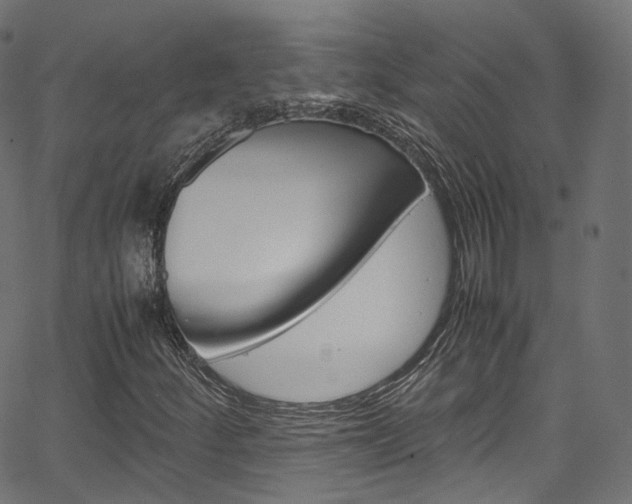 X0000067401252200603311012