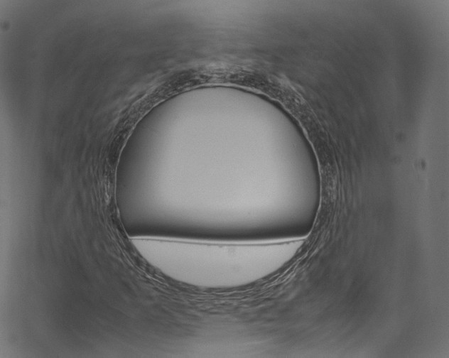 X0000067401253200603311012