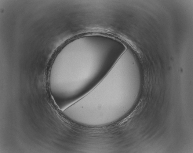 X0000067401264200603311011