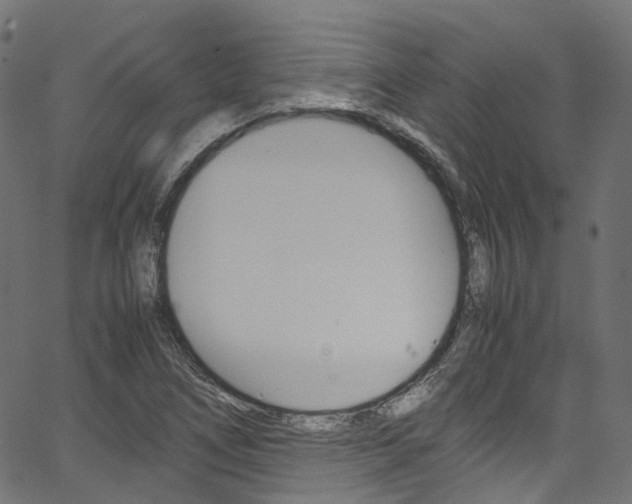 X0000067401266200603311011