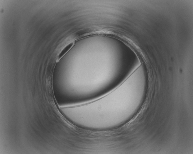 X0000067401281200603311011
