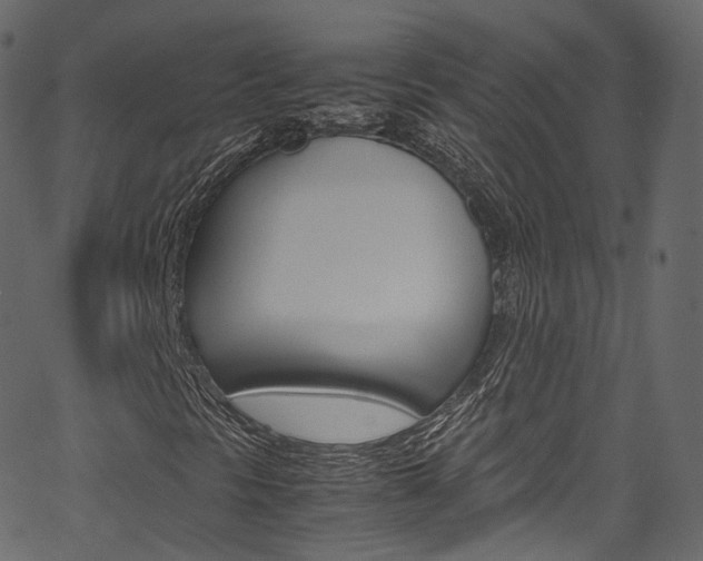 X0000067401297200603311010
