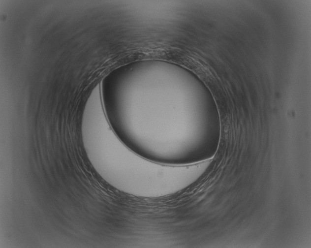 X0000067401298200603311010