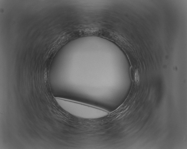 X0000067401299200603311010