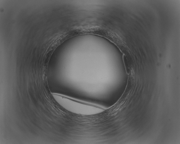 X0000067401300200603311010