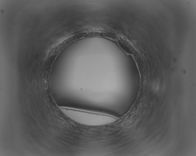 X0000067401303200603311010