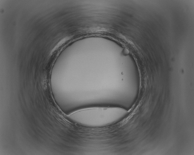 X0000067401306200603311010