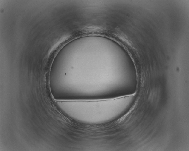 X0000067401309200603311010