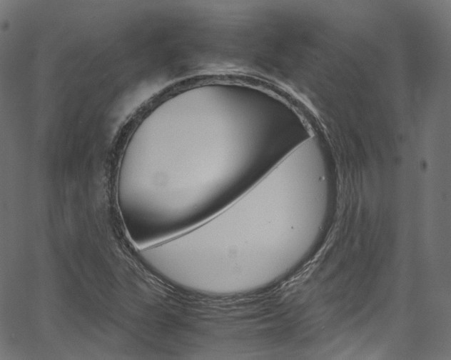 X0000067401311200603311010
