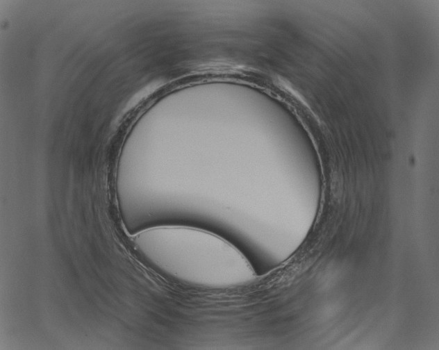 X0000067401315200603311010