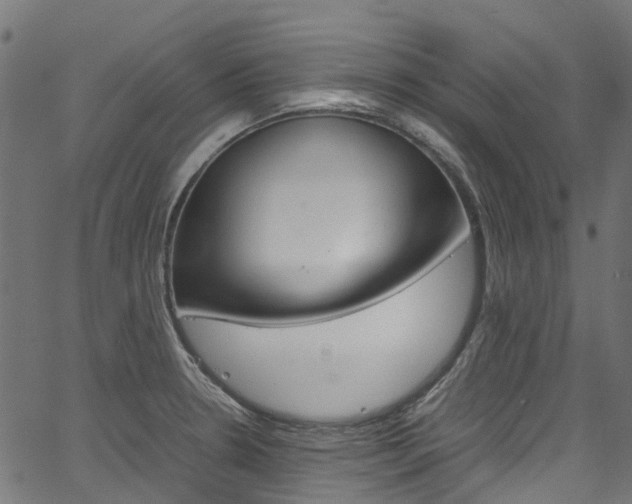 X0000067401330200603311011