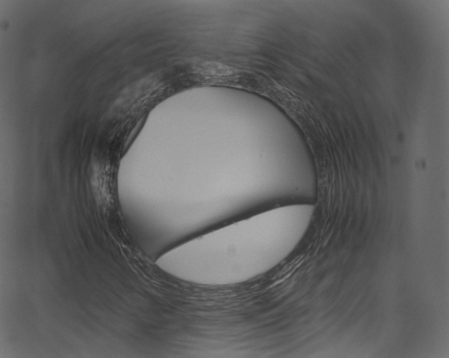 X0000067401346200603311010