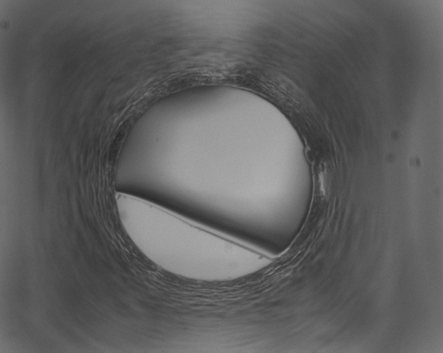 X0000067401347200603311010