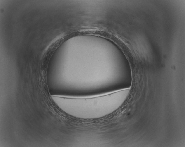 X0000067401351200603311010