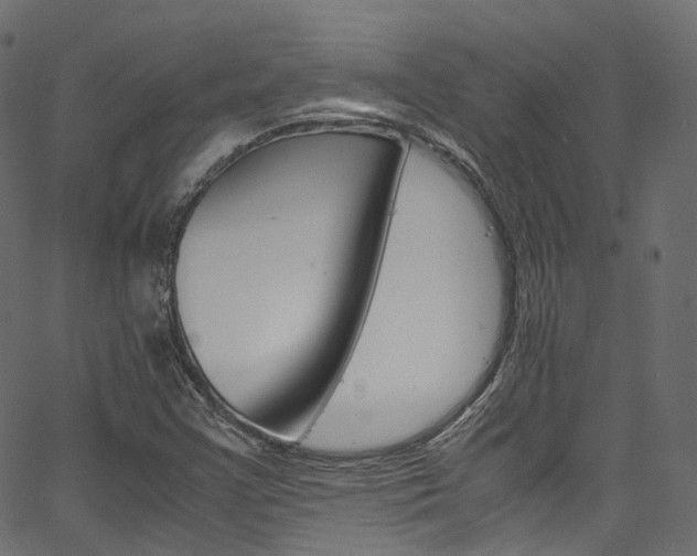 X0000067401355200603311010