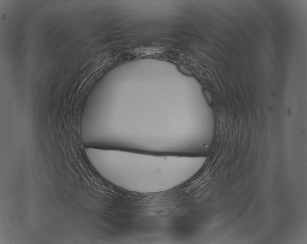 X0000067401393200603311009