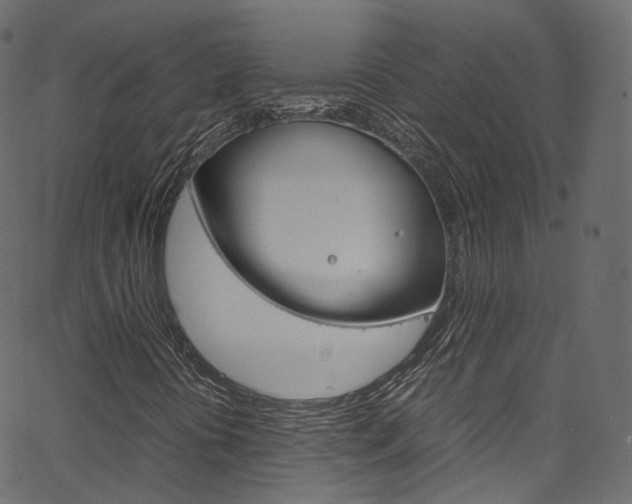 X0000067401394200603311009