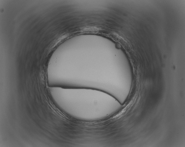 X0000067401401200603311009