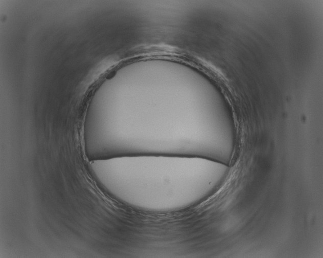 X0000067401407200603311009