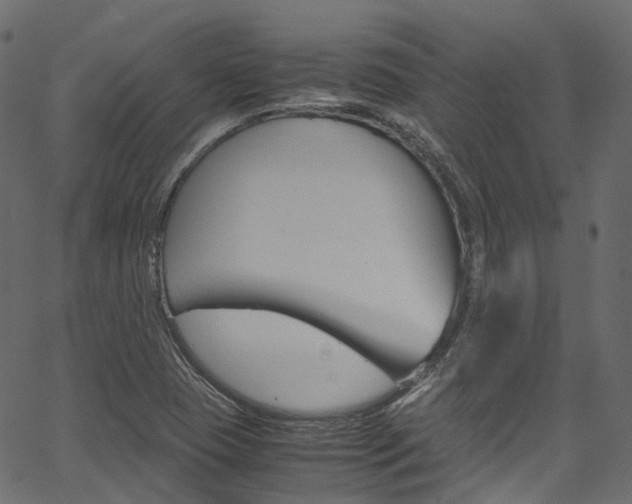 X0000067401409200603311009