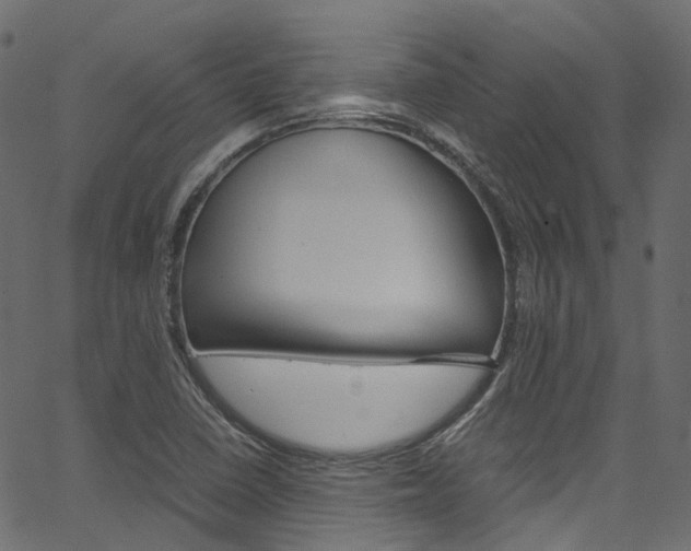 X0000067401410200603311009