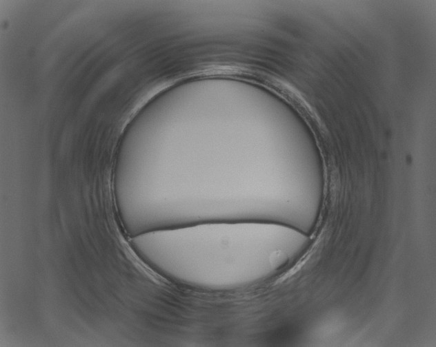 X0000067401417200603311009