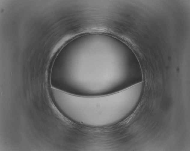 X0000067401422200603311009