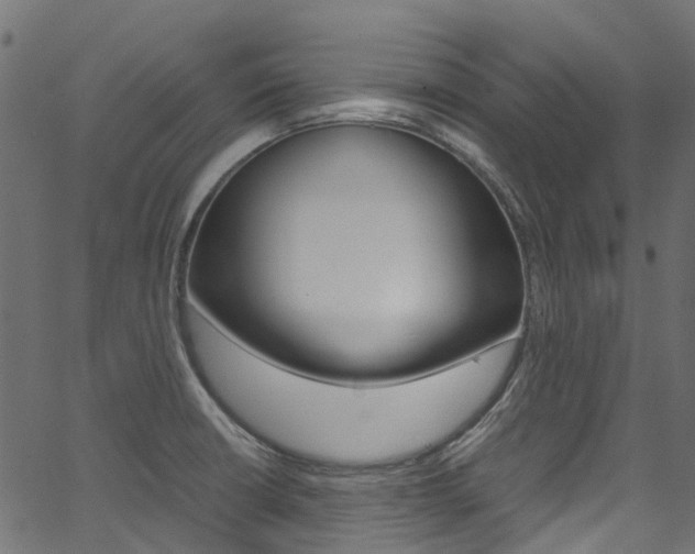 X0000067401426200603311009