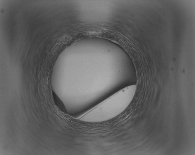 X0000067401441200603311009