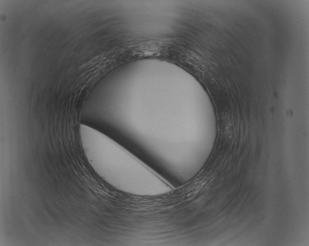 X0000067401442200603311009