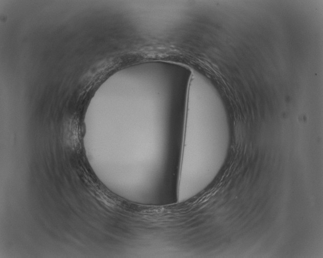 X0000067401444200603311009