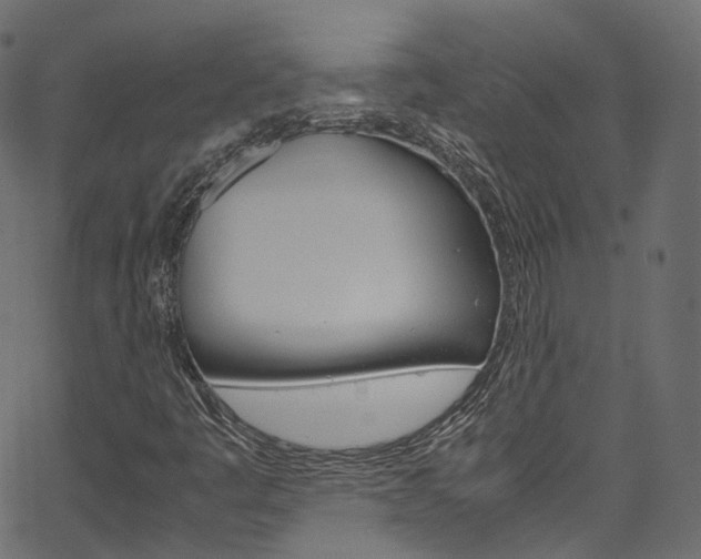 X0000067401445200603311009