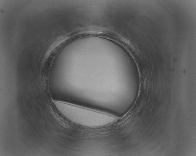 X0000067401448200603311008