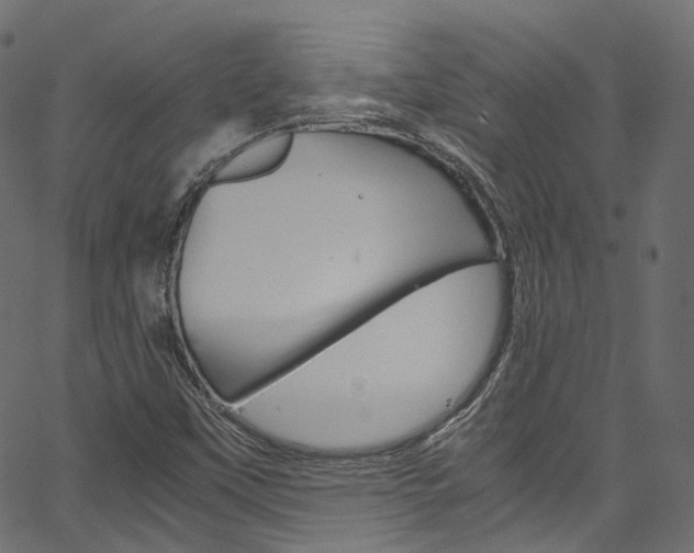X0000067401451200603311008