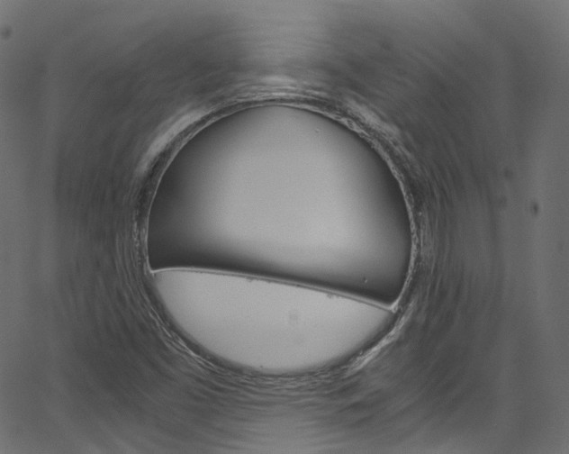 X0000067401453200603311008