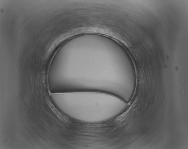 X0000067401499200603311007